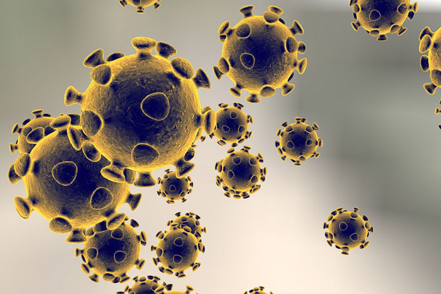 Coronavirus, virus which causes SARS and MERS